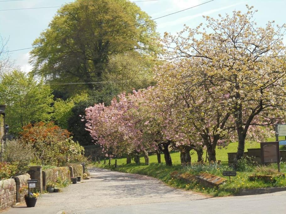 Rustic Cottage, Garden, Near Amenities, Wifi Pateley Bridge Exterior photo